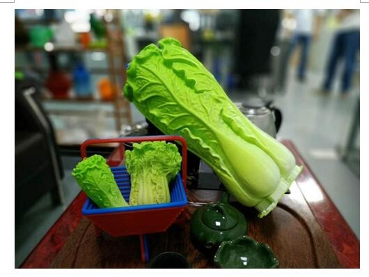 各种各样大白菜3d打印模型